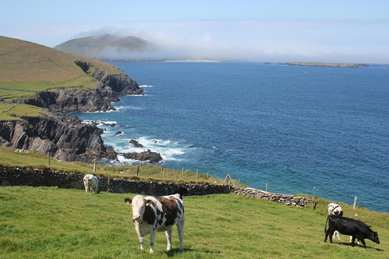 Dingle Courtyard Holiday Homes 3 Bed By Trident Holiday Homes Buitenkant foto
